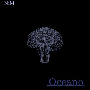 Scopri di più sull'articolo Nicolainmusica: ecco il videoclip del nuovo singolo “Oceano”