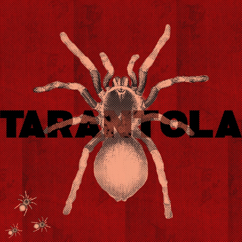 “Tarantola” è il nuovo singolo di Seta, un tuffo nell’oscurità per tornare a risplendere