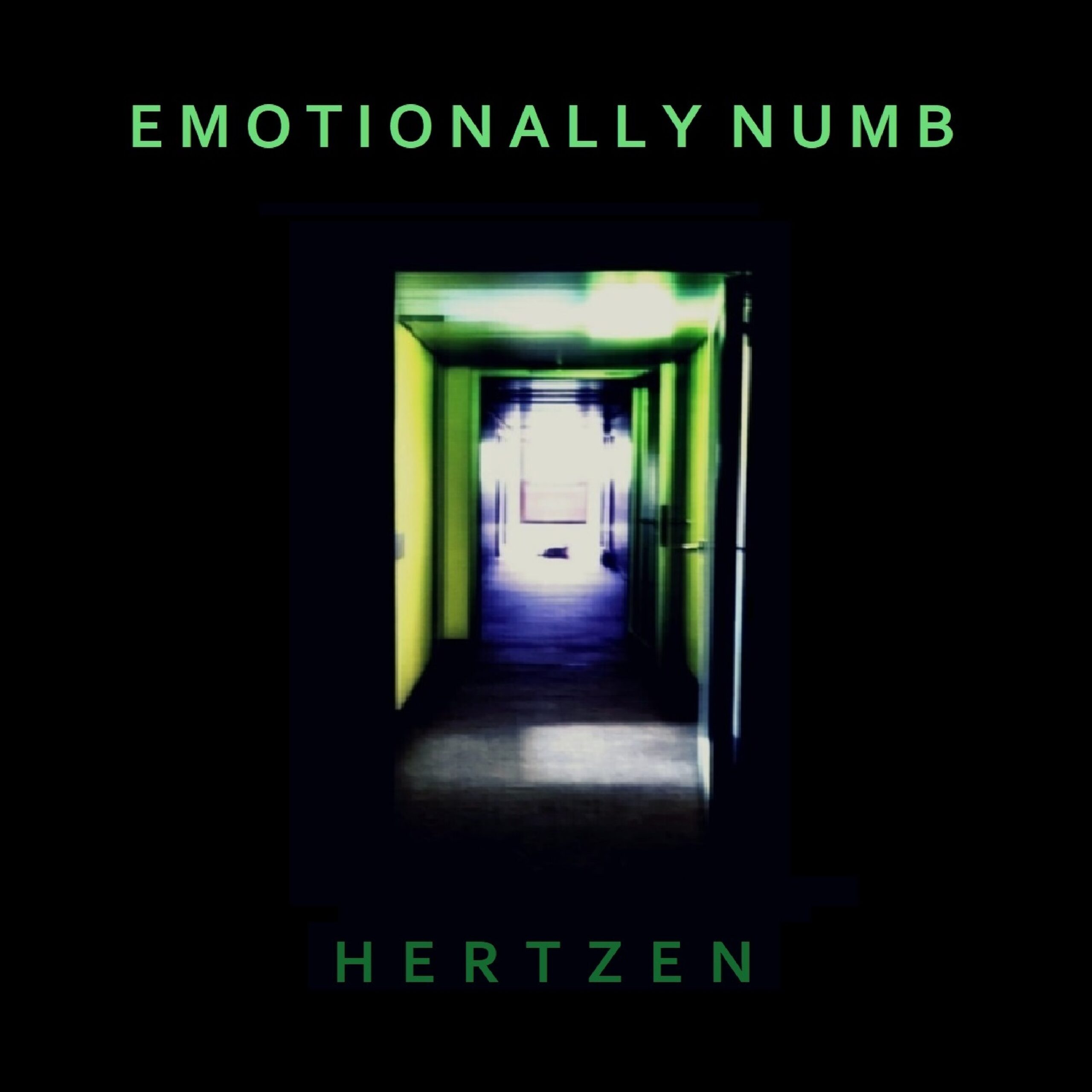 Scopri di più sull'articolo Emotionally Numb: gli Hertzen sperimentano tra rock ed elettronica