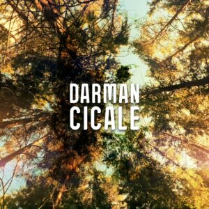 Scopri di più sull'articolo “Cicale”: fuori in radio il nuovo singolo di Darman