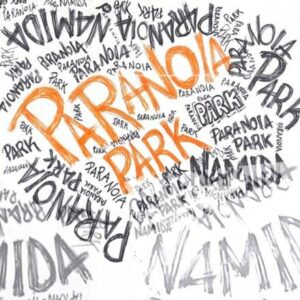 Scopri di più sull'articolo “Paranoia Park” è il nuovo singolo di Namida
